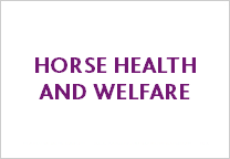 horse-health-welfare